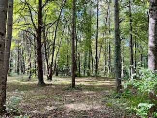 0 Jackson Rd, Mount Airy, NC 27030