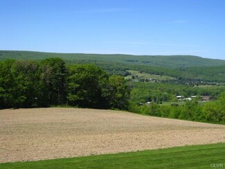 201 Ridge Cup Road W Penn Twp, Schuylkill, PA 17960