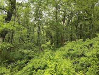 14768 Rail Hollow Rd, Woodman, WI 53827