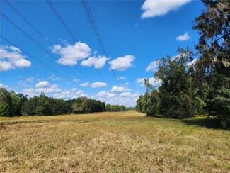 0 NE Hwy 315 Unit MFROM666842, Fort McCoy, FL 32134