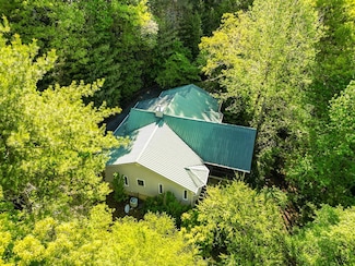 61 Amelia Ln, Blue Ridge, GA 30513