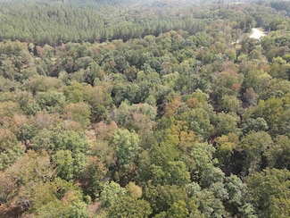 0 Bear Creek Rd Unit 10205719, Waverly, TN 37185