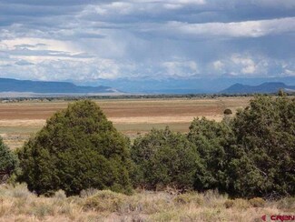 TBD 00 Hwy, Antonito, CO 81120