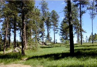 Lot 5 Eagle Ridge Dr, Custer, SD 57730