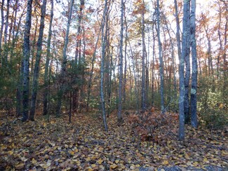 TBD Bridge St, Newfield, ME 04095