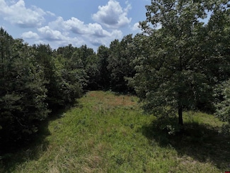 0000 Jordan Rd, Norfork, AR 72658