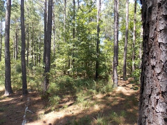 2 Lighthouse Point, Lincolnton, GA 30817