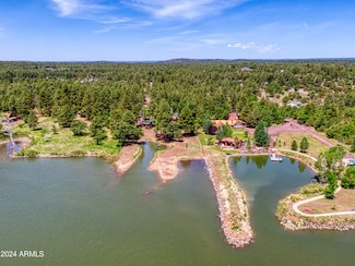 1317&1319 Gwin Way --, Lakeside, AZ 85929