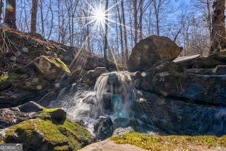 626 Ruffs Rd, Carlton, GA 30627