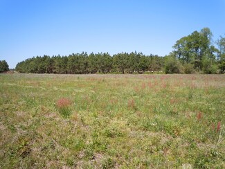 2250 Shay Fisher Rd, Chadbourn, NC 28431