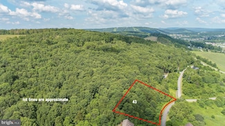 43 Smiley Face Ln, McHenry, MD 21541