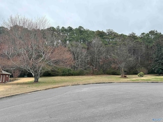 Lot 8A Brownwood Ln, Guntersville, AL 35976