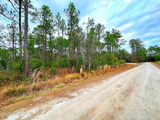 Lot 440 Wood Haven Rd, Boiling Spring Lakes, NC 28461