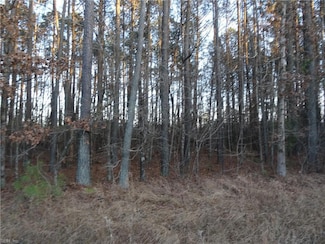42AC Strawberry Plains Rd, Ivor, VA 23866