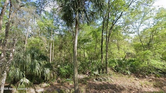 0 Quail Ranch Rd Unit 1045380, New Smyrna Beach, FL 32168