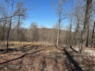 0 Backway Rd, Yellville, AR 72687