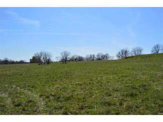 TBD NW 325 Rd, Holden, MO 64040