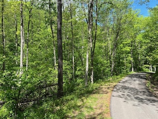 0 Crooked Creek Rd Unit 278261, Alum  Creek, WV 25309