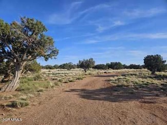 110 County Rd, Concho, AZ 85924