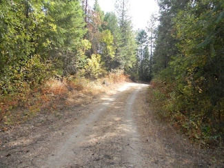 1080 X Middle Basin Rd, Colville, WA 99114