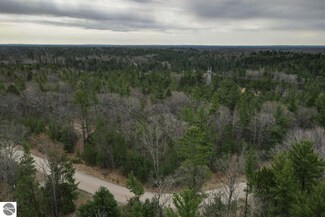 8752 Wheeler Oaks Dr Unit D, Williamsburg, MI 49690