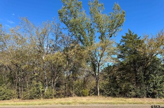 TBD Fm 1799, Mineola, TX 75773