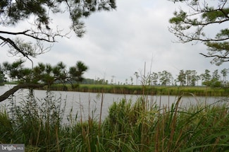 0 Decoursey Bridge Rd, Vienna, MD 21869