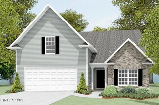 8038 Tree Line Ln, Corryton, TN 37721