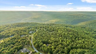 0 Tunnie Point Unit 1506404, Dunlap, TN 37327
