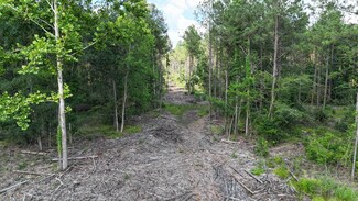 TBD Old Military Rd, Winnfield, LA 71483