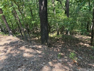 11 Nisa Ln, Hot Springs Village, AR 71909