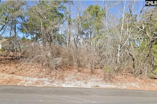 132 Stonebridge Dr, Gaston, SC 29053