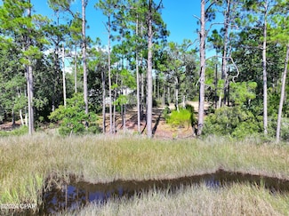 9399 S Burnt Mill Creek Rd, Southport, FL 32409