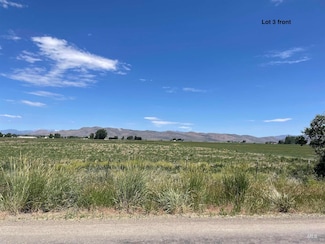 3 N Griffin Loop, Carey, ID 83320