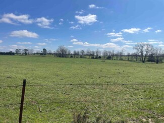935 lot 13 Goff Rd, Quitman, AR 72131