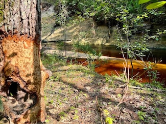 Tbd Old Cty I, Black River Falls, WI 54615