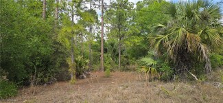 3204 E 13th St, Lehigh Acres, FL 33972