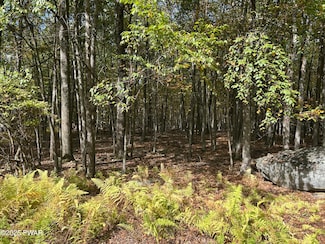 Lot 251 W Chipmunk Rd, Pocono Mountain Lake Estates, PA 18324