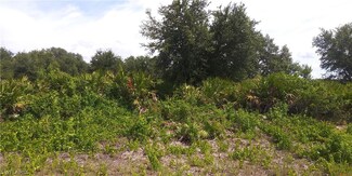 6006 Ida Ave N, Lehigh Acres, FL 33971