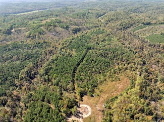 0 Cox Hollow Rd, Dover, TN 37058