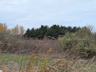 N/A Manor Rd, Au Gres, MI 48703