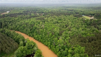 17719 Highway 43 N, Northport, AL 35475
