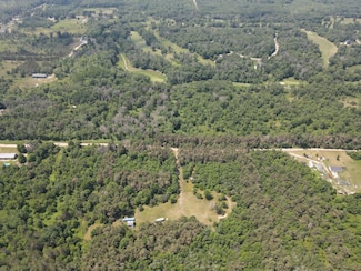 6573 Williams Trail, Grayling, MI 49738