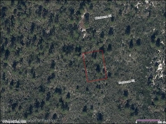 520 Suzanne St, Lake Placid, FL 33852