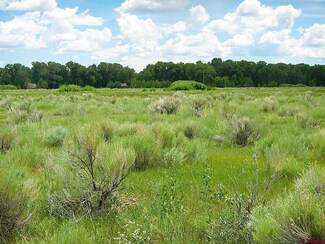 9786 County Road G, Antonito, CO 81120