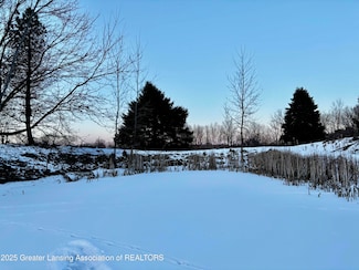 1175 S Osborne Rd, Dansville, MI 48819