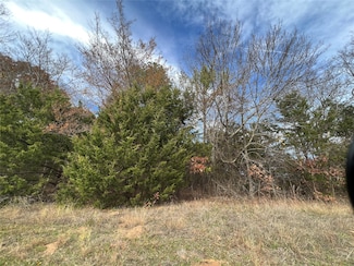 TBD State Highway 64, Ben Wheeler, TX 75754