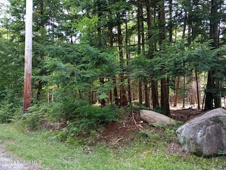 L59 Antler Lake Rd, Wevertown, NY 12886