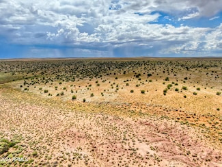 TBD Pozo Oro Ranches --, Woodruff, AZ 85942