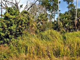 0 Firebird Rd Unit MFRO6300324, North Port, FL 34288